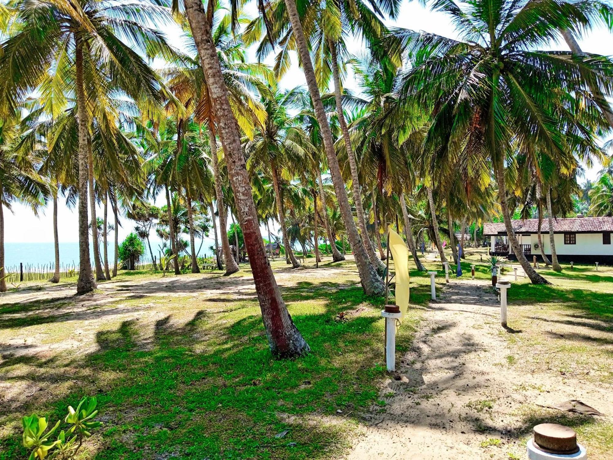 Helios Beach Resort Tangalle Exterior photo